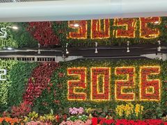 -广州白云国际机场-T2航站楼
