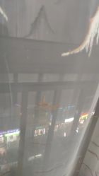 -Cream88颜皮肤管理中心