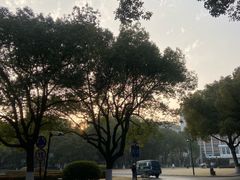 -浙江大学(玉泉校区)
