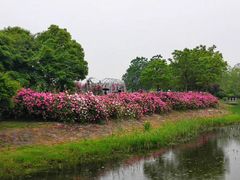 -尚贤河湿地