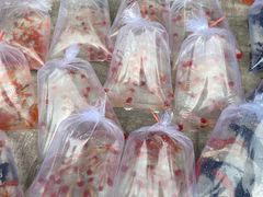 -华声天桥民俗文化园