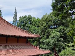 -都江堰普照寺