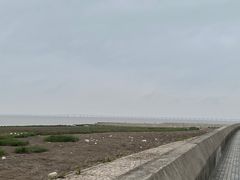 -南汇嘴观海公园