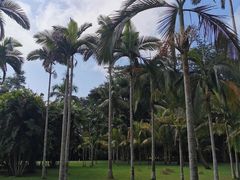 -中国科学院西双版纳热带植物园