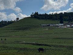 -关山草原
