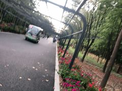 -东平国家森林公园