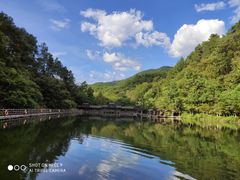 -桂林古东瀑布景区