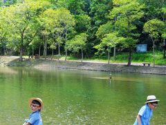 -龙湾潭国家森林公园