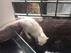 -上海理工大学出版印刷高等专科学院-学生食堂