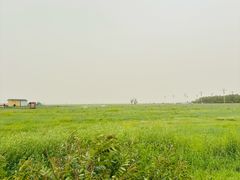 -敕勒川草原