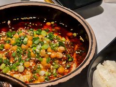 乐山椒麻鸡-新蜀会四川豆花(五羊店)