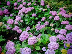 -常州古运河南大街文化旅游区-人民公园