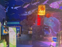 -烟台海昌鲸鲨海洋公园