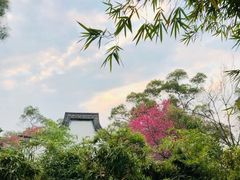 -金鸡山公园