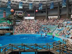 -海合安成都极地海洋公园