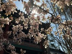 -潭柘寺景区
