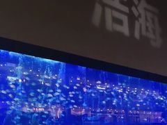 -成都浩海立方海洋公园