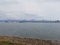 -招商蛇口邮轮母港(观光客运)
