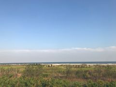-日照海滨国家森林公园