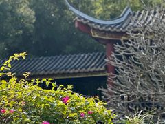 -顺峰山公园