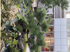 -东方艺术博物馆