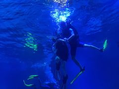 -烟台海昌鲸鲨海洋公园