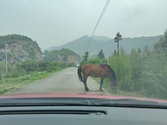 -白河湾生态旅游一条川