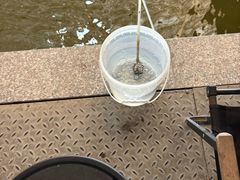 -粮心小农·大头虾亲子生态园(长发店)