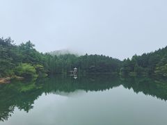 -四明山国家森林公园