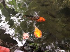 -侯臣咖啡文化村