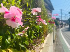 -灌篮高手动画打卡地