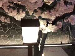 -蓝鲸湾汤泉(包河店)