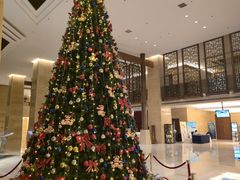 -北京首都机场希尔顿酒店