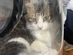 -荔康动物医院(康王北路店)