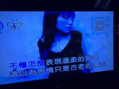 -温莎KTV(珠江路店)