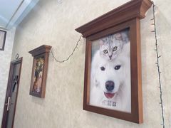 -宠爱国际动物医院· 猫科· 外科·中兽医(长白店)