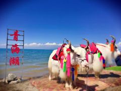 -青海湖国家重点风景名胜区