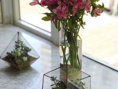 -蝶舍·MAISON PAPILLON