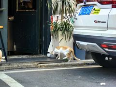 -SeekSeeking咖啡专门店(堰塘街店)