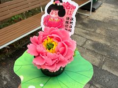 -小街天府