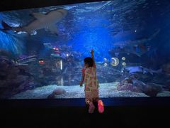 -烟台海昌鲸鲨海洋公园