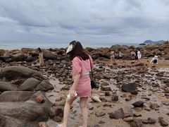 -广东惠东海龟国家级自然保护区