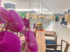 大堂-红鼎豆捞·非遗鲍皇汤火锅(宝丰路店)