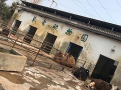 -祥源·阜阳生态乐园