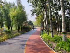 -大兴滨河森林公园