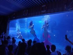 -左海海底世界