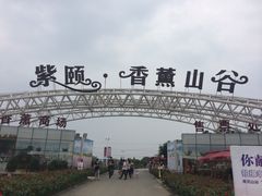 紫颐香薰山谷薰衣草庄园-紫颐香薰山谷景区