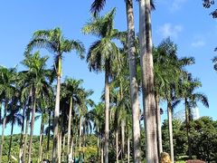 -云溪植物园