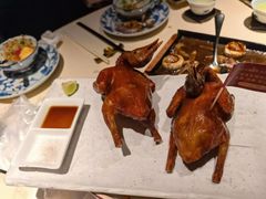 -侨美食家·粤菜(体育西路店)