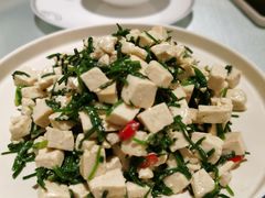 沙葱拌豆腐-宁夏国强手抓羊肉·清真菜(未央路凤三店)